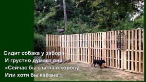 Заборы из поддона.