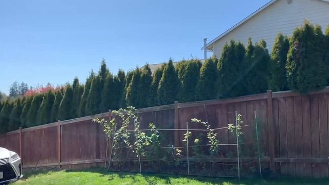 С праздником ! Христос воскрес , воистину воскрес! смотреть онлайн