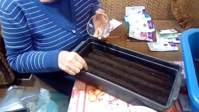 Учитесь сеять петунию как я .И у вас всё получится смотреть онлайн