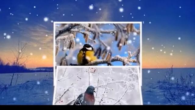 Зимняя любовь Стихи Лидия Таганова, муз. и исп. Самуил Фрумович смотреть онлайн