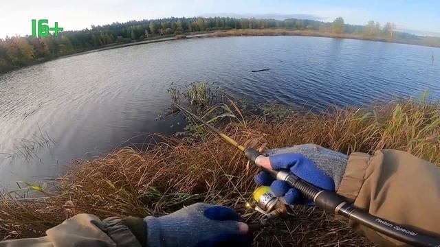 Рыбалка на щуку на спиннинг осенью смотреть онлайн