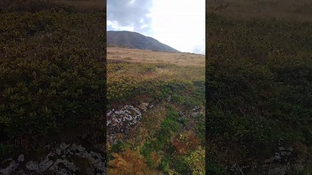 Чистейшая вода в ручье - это то, что я люблю в горах смотреть онлайн