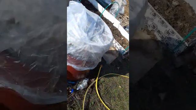 что стало с теплицей из стрейч пленки после зимы смотреть онлайн