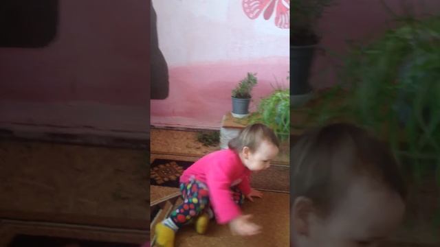 Кто нашкодничал?) смех, дети, возмущения))) смотреть онлайн