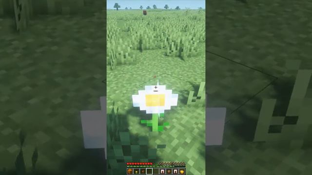 Как сорвать ромашку смотреть онлайн