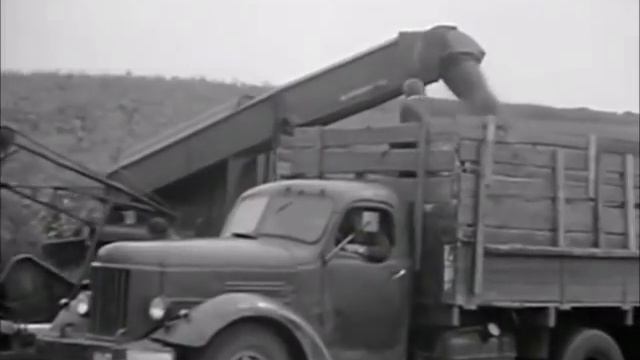Т-150К трактор. На силосе. КС-2,6.ЗиЛ-164. (1977)..mp4 смотреть онлайн