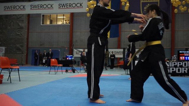 Hapkido Demonstration At Swedish TKD Mastership 2017