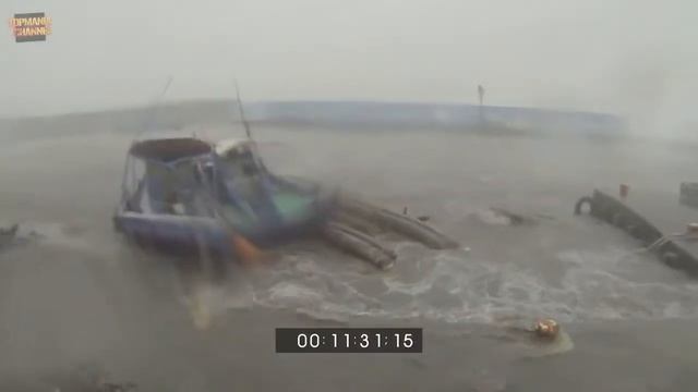 ЧТО БУДЕТ ЕСЛИ ИСЧЕЗНУТ ЛЮДИ??? смотреть онлайн