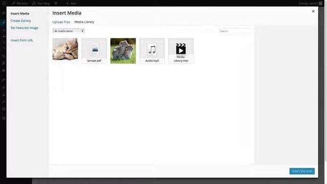 How to Add Image From Media Library in WordPress? смотреть онлайн