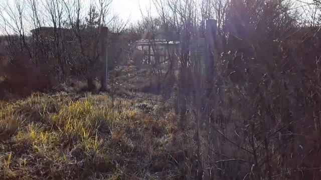 Прекрасная погода в деревне! Тульская область! 04.11.2021! смотреть онлайн