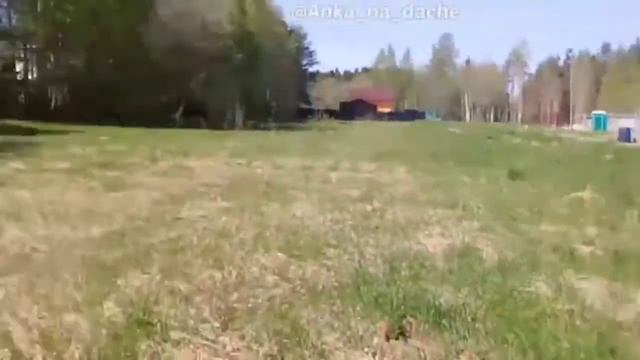 Цветочный король смотреть онлайн