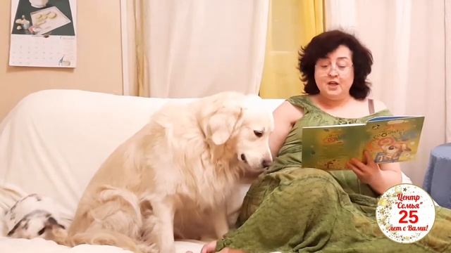 Сказка перед сном: "Королевская дворняжка" смотреть онлайн