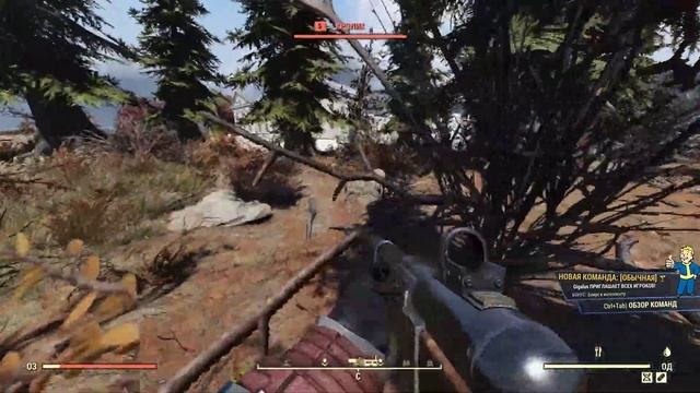 Fallout 76 Кролик и Белка смотреть онлайн