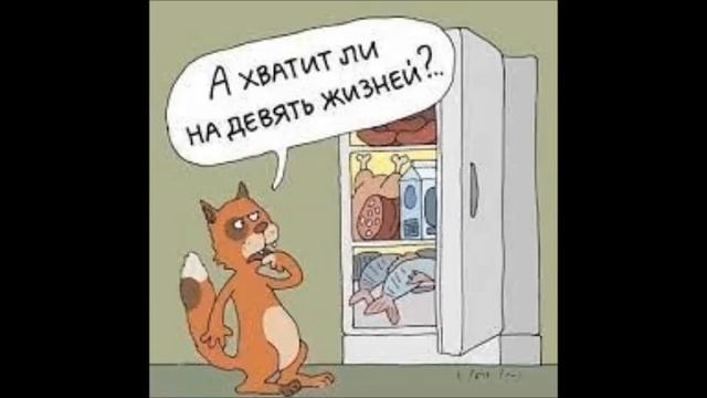 Самые смешные анекдоты. Юмор. Анекдот дня. Короткие анеекдоты смотреть онлайн