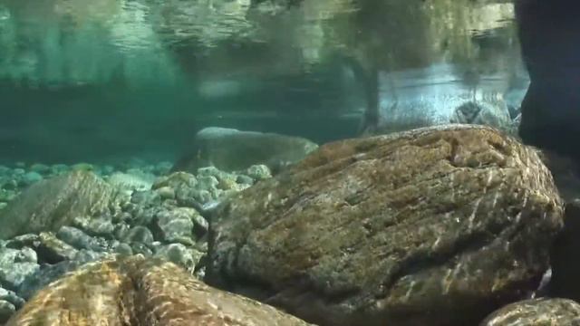 ВЕРЗАСКА (VERZASCA) ☢️ ЧИСТЕЙШАЯ РЕКА МИРА (1080p)