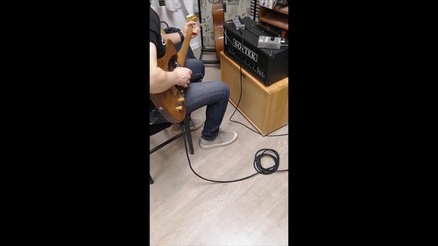 обзор Sovtek Mig 50 Leonid Musaev