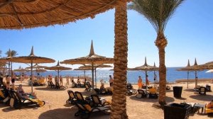 Reef Oasis Blue Bay Resort 5 Шарм Эль Шейх. Обзор отеля