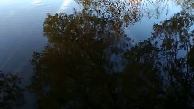 Утро,Рассвет, Пар от воды и птицы. смотреть онлайн