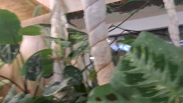 На балконе без потерь🥳 смотреть онлайн