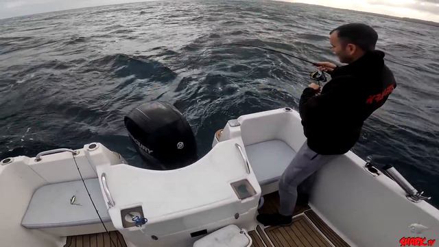 Os presento a ARLAI Fishing [Miquel] BUSCANDO NUEVOS MENTORES [MAESTROS] смотреть онлайн