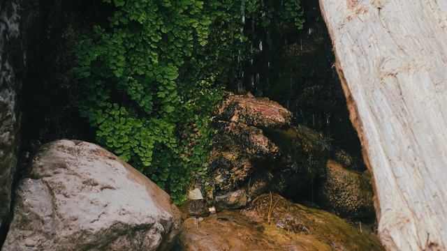 Soothing Mountain River Noise & Water Sounds for Sleep and Studying. Relaxing Nature Sounds. смотреть онлайн