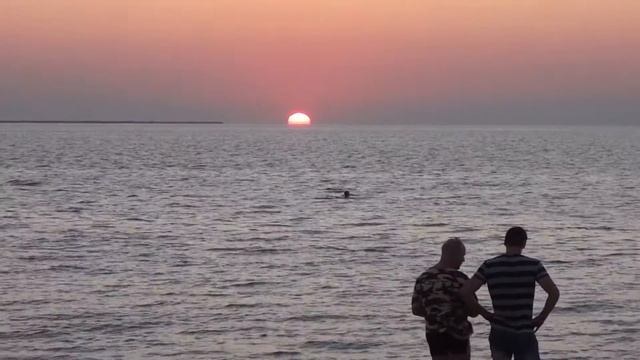 Как в море солнышко садится! Чайки над морем! смотреть онлайн