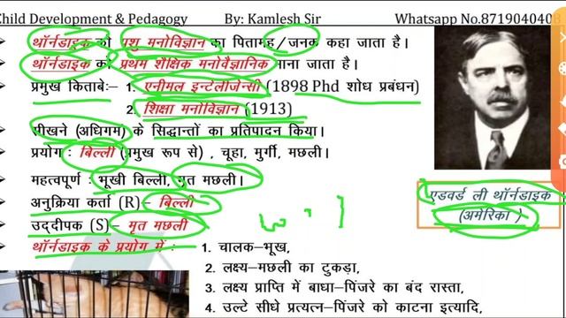 #CTET,MP TET for all tet examsबाल विकास एवं शिक्षा शास्त्र।। महत्वपूर्ण टॉपिक।। एडवर्ड ली थोर्णडयक। смотреть онлайн