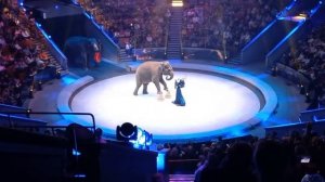 Новогоднее представление "Заколдованная". Большой цирк на проспекте Вернадского, 24.12.2022 г.