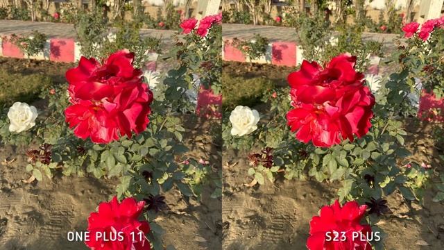 One Plus 11 VS Samsung Galaxy S23 Plus Camera Test Comparison смотреть онлайн