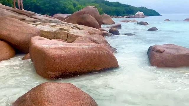 Сейшелы. Seychelles. 塞舌尔。 78