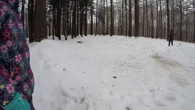 Гуляем в парке. Зима пришла 05.11.2016 смотреть онлайн