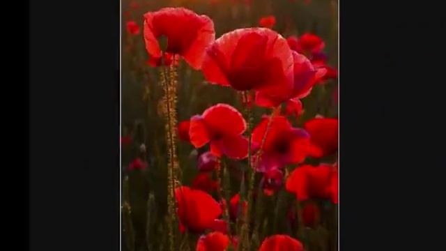 На перекрёстке семи дорог смотреть онлайн