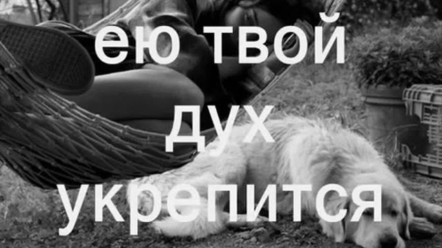 002 ٭Если твой дух утомится٭ смотреть онлайн