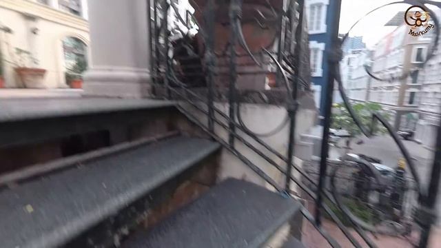 Автобусы, заброшенные машины, бассейн. МанкиТайм в Таиланде смотреть онлайн