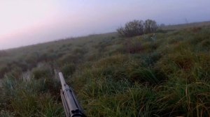 ОХОТА НА УТКУ С ПОДХОДА. КОЛЛИМАТОР И ТОЧНЫЕ ВЫСТРЕЛЫ.