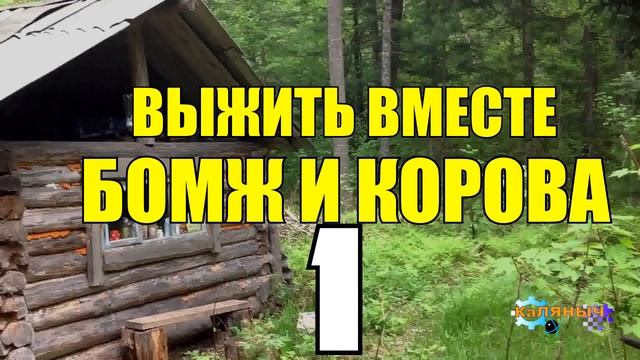 0896 - ВЫЖИВАНИЕ БОМЖА _ ОТШЕЛЬНИК И КРЕДИТ _ РЫНОК _ ТАНКИ В ГОРОДЕ _ СПАСТИ КОРОВУ 1 из 5.mp4 смотреть онлайн