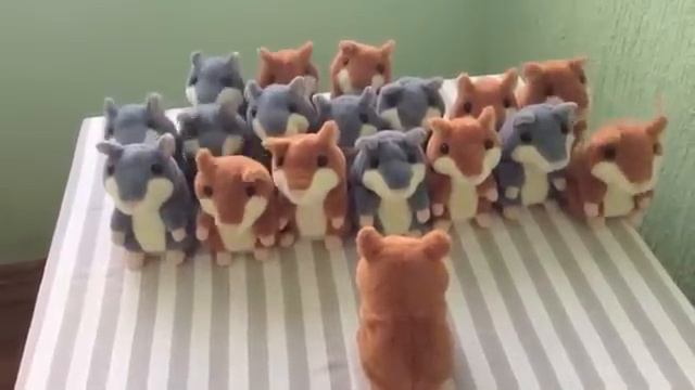 Хомяки планирую побег ))) смотреть онлайн