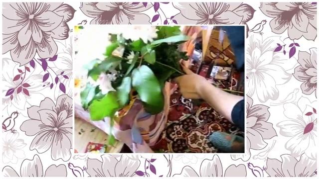 Букет из орхидей в каркасе смотреть онлайн