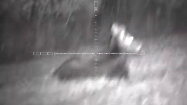 Pulsar Ultra N455LRF смотреть онлайн