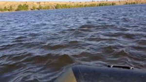 Sea pro t 2.6 s плюс пеликан 295 тк