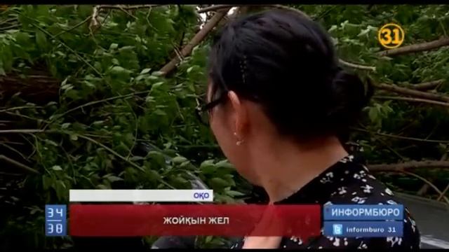 Қатты жел Оңтүстік Қазақстан облысына да зардап әкелді смотреть онлайн