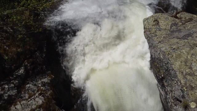 Жемчужина Алтая - путешествие на байдарках по Телецкому озеру смотреть онлайн