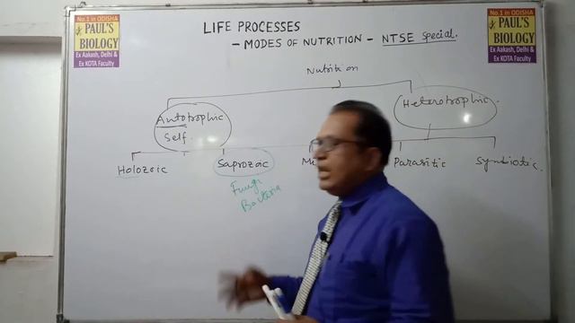 Life processes class 10 science biology l CBSE l NCERT I ICSE l KVS смотреть онлайн