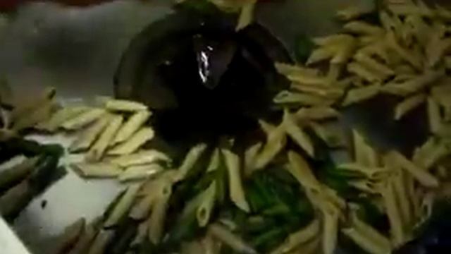 измельчитель пищевых отходов смотреть онлайн