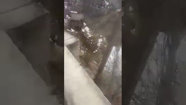 самый балшой снегопад в горных местах смотреть онлайн