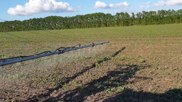 Летом работаю на химии! смотреть онлайн