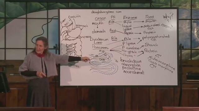 Barbara O'Neill - Journey Through the Gut смотреть онлайн