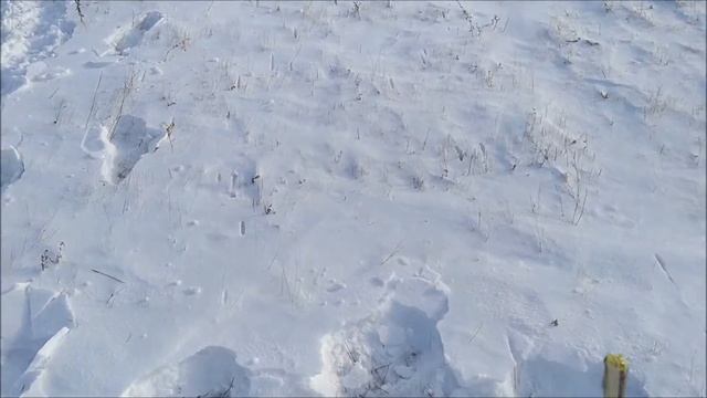 дробь №3 12 калибр на 100 метров