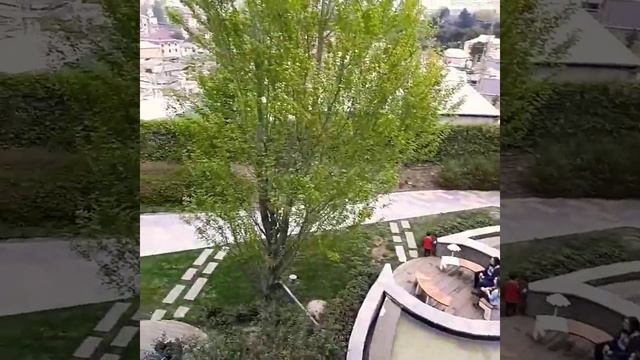 Парк Имени Гейдара Алиева. На Бинегединском районе. P.S.: Biz coox beyendik смотреть онлайн