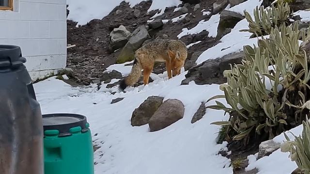 No Entendemos Por Qué NADIE HABLA DE ESTE INCREÍBLE LUGAR DE ECUADOR (Illinizas) | #Ecuador Ep.16